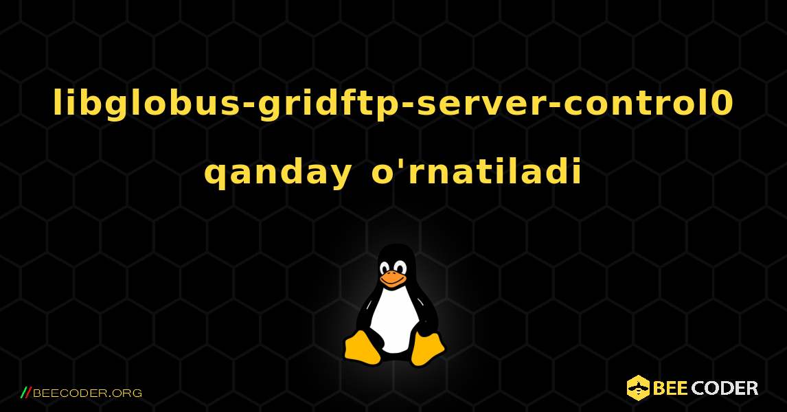 libglobus-gridftp-server-control0  qanday o'rnatiladi. Linux
