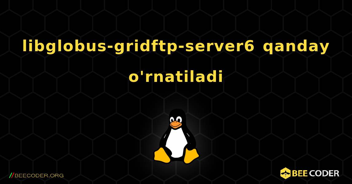 libglobus-gridftp-server6  qanday o'rnatiladi. Linux