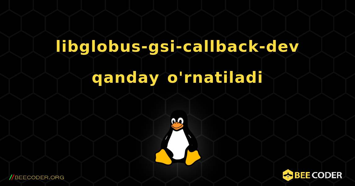 libglobus-gsi-callback-dev  qanday o'rnatiladi. Linux