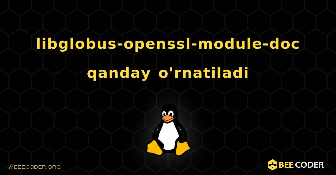 libglobus-openssl-module-doc  qanday o'rnatiladi. Linux