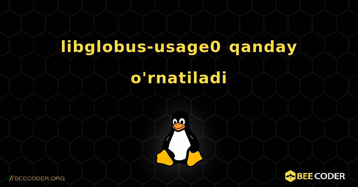 libglobus-usage0  qanday o'rnatiladi. Linux