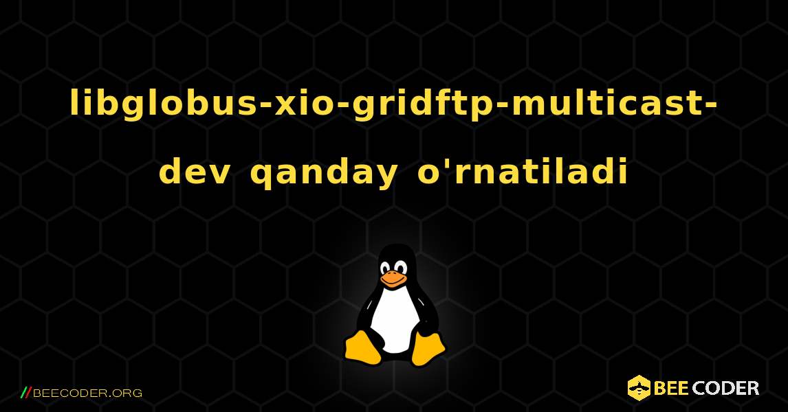 libglobus-xio-gridftp-multicast-dev  qanday o'rnatiladi. Linux