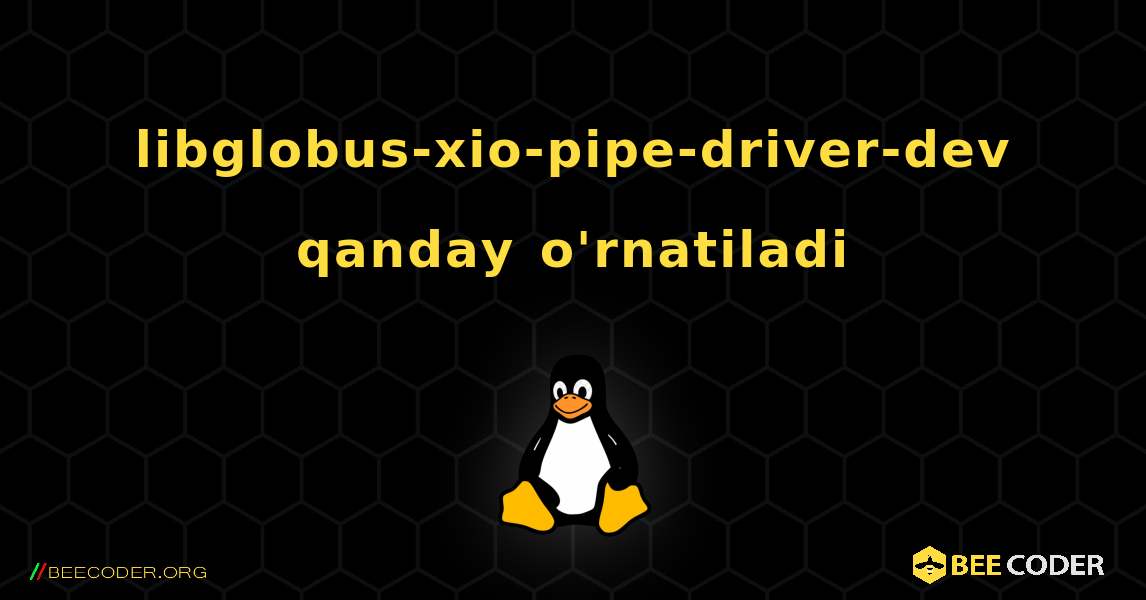 libglobus-xio-pipe-driver-dev  qanday o'rnatiladi. Linux