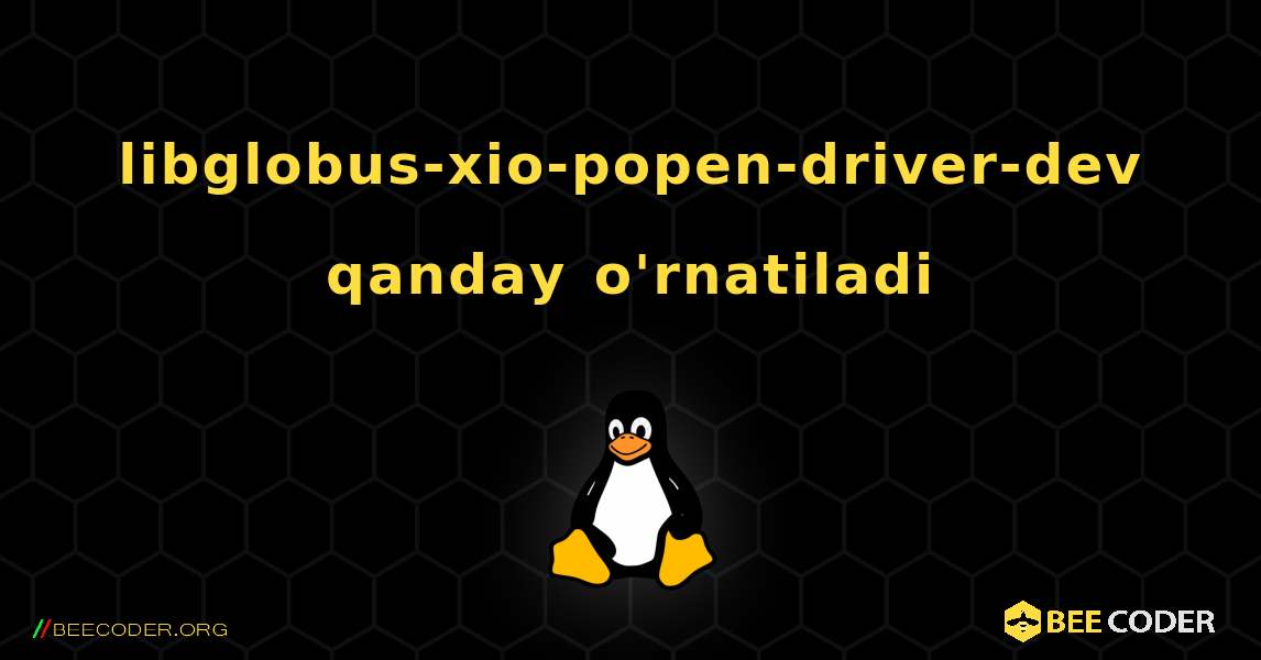 libglobus-xio-popen-driver-dev  qanday o'rnatiladi. Linux