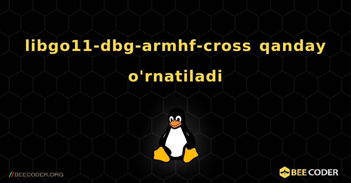 libgo11-dbg-armhf-cross  qanday o'rnatiladi. Linux
