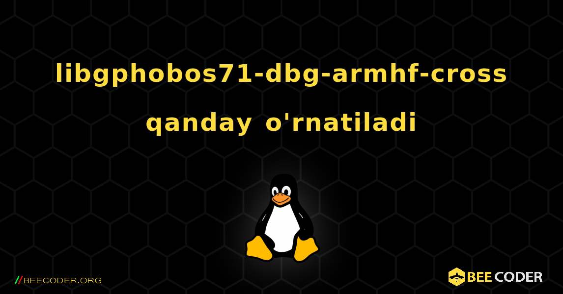libgphobos71-dbg-armhf-cross  qanday o'rnatiladi. Linux