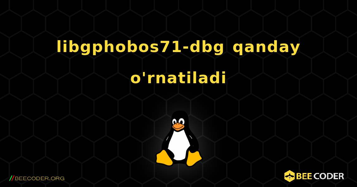 libgphobos71-dbg  qanday o'rnatiladi. Linux