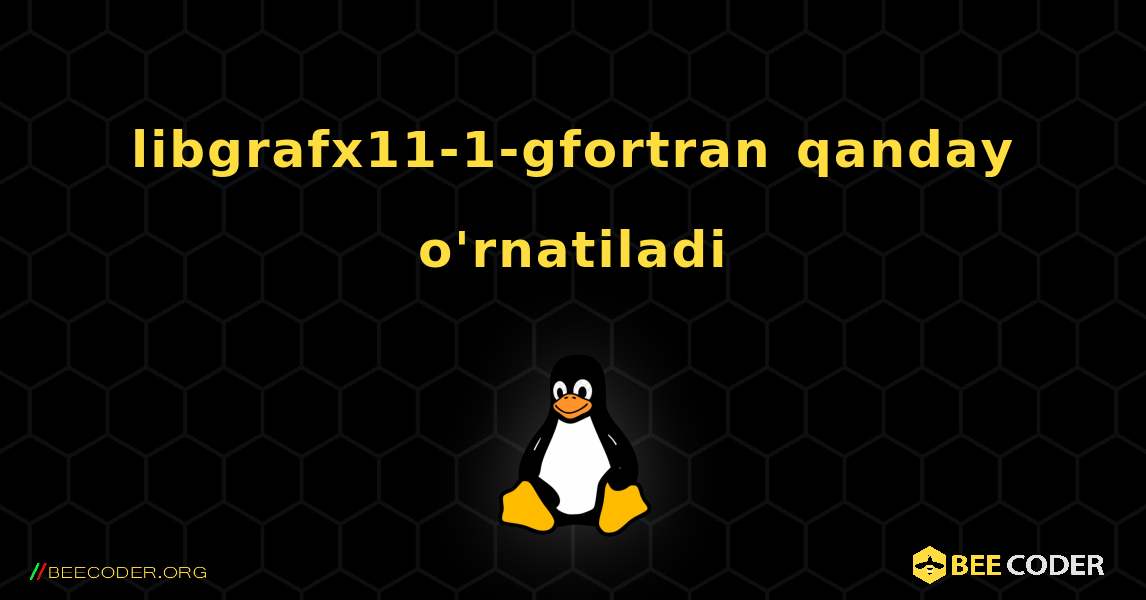 libgrafx11-1-gfortran  qanday o'rnatiladi. Linux