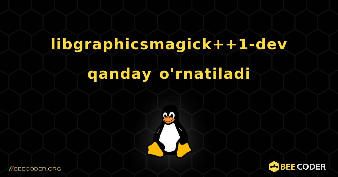 libgraphicsmagick++1-dev  qanday o'rnatiladi. Linux