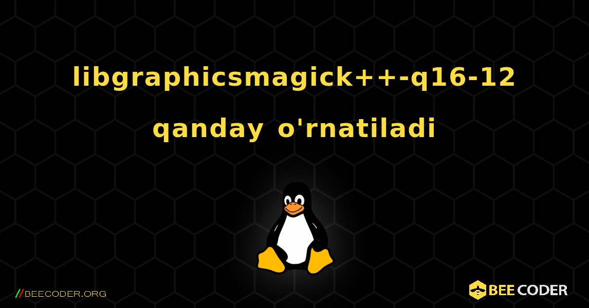 libgraphicsmagick++-q16-12  qanday o'rnatiladi. Linux