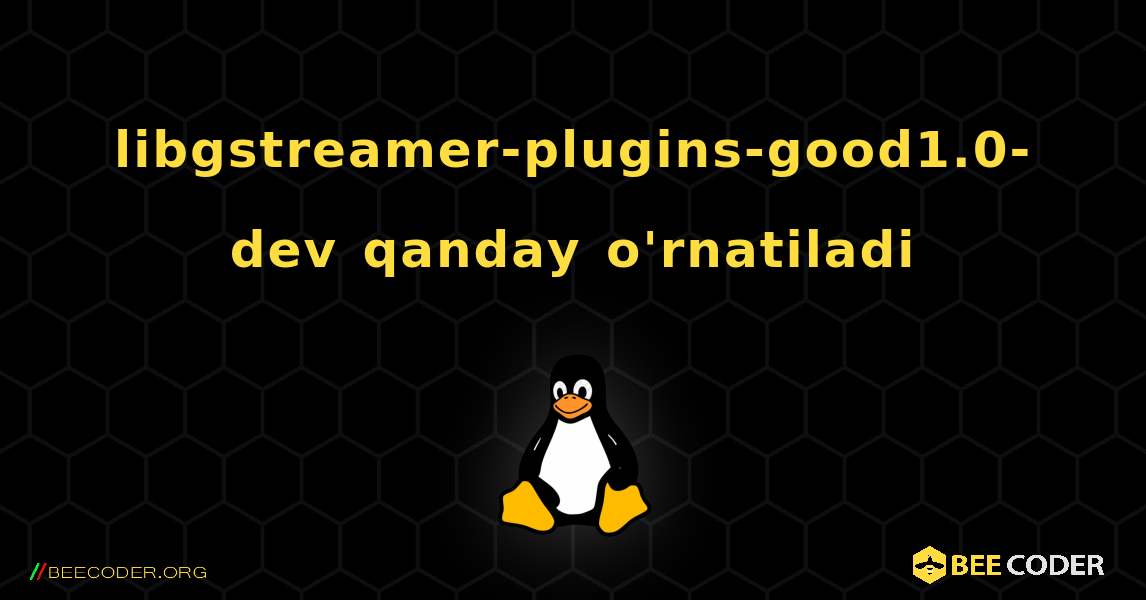 libgstreamer-plugins-good1.0-dev  qanday o'rnatiladi. Linux