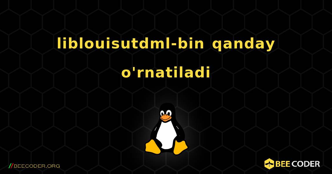 liblouisutdml-bin  qanday o'rnatiladi. Linux
