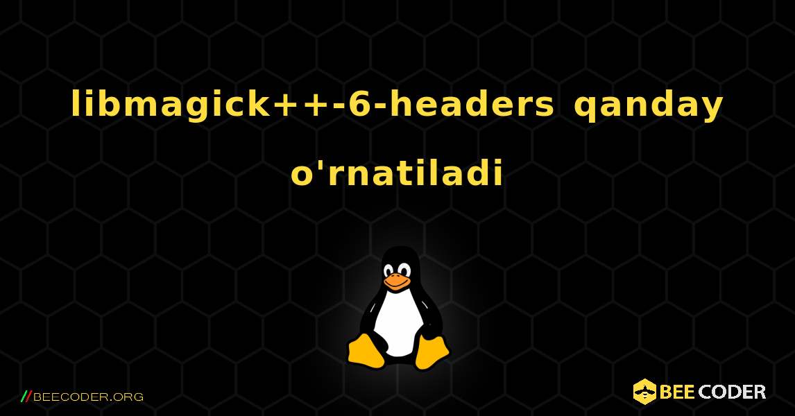 libmagick++-6-headers  qanday o'rnatiladi. Linux