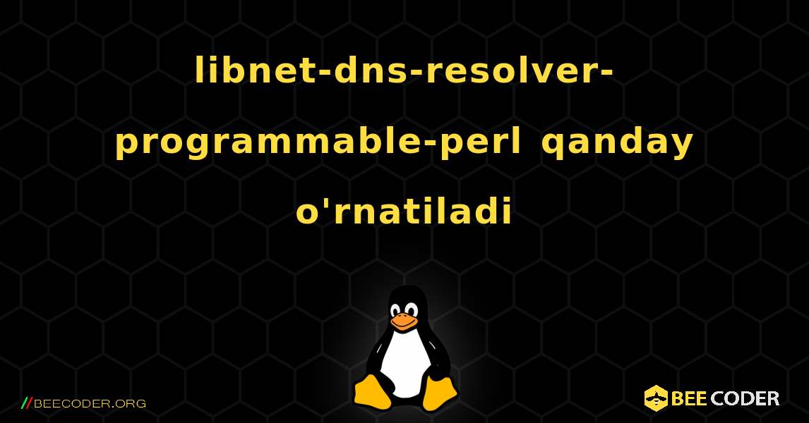 libnet-dns-resolver-programmable-perl  qanday o'rnatiladi. Linux