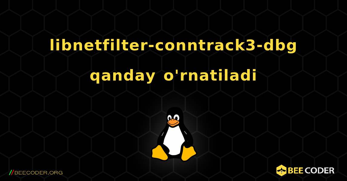 libnetfilter-conntrack3-dbg  qanday o'rnatiladi. Linux
