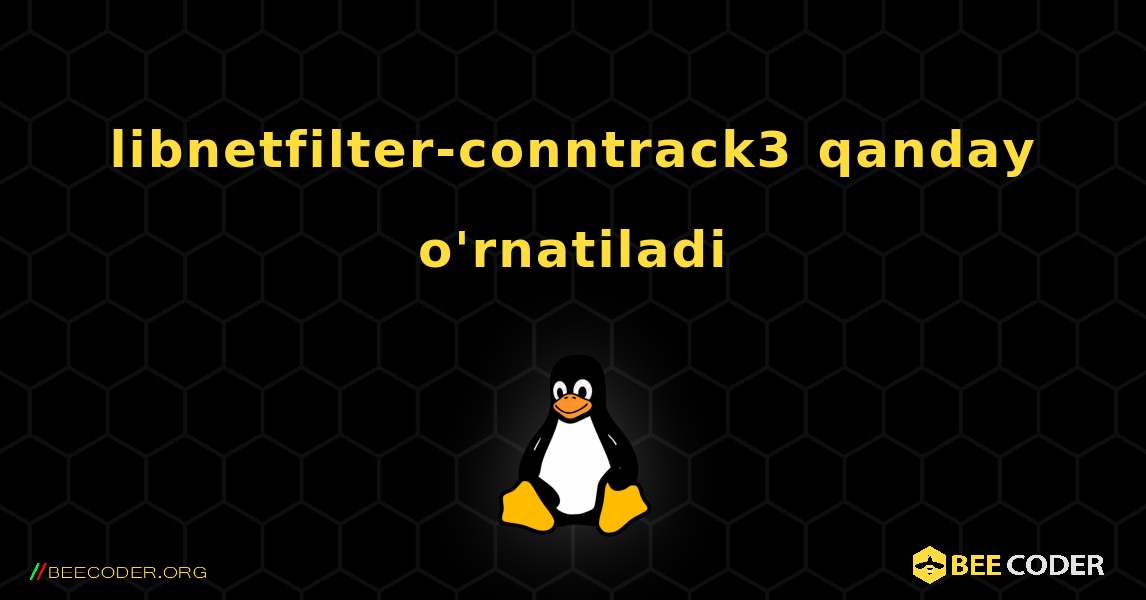 libnetfilter-conntrack3  qanday o'rnatiladi. Linux