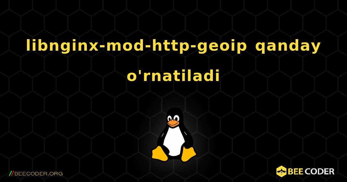 libnginx-mod-http-geoip  qanday o'rnatiladi. Linux