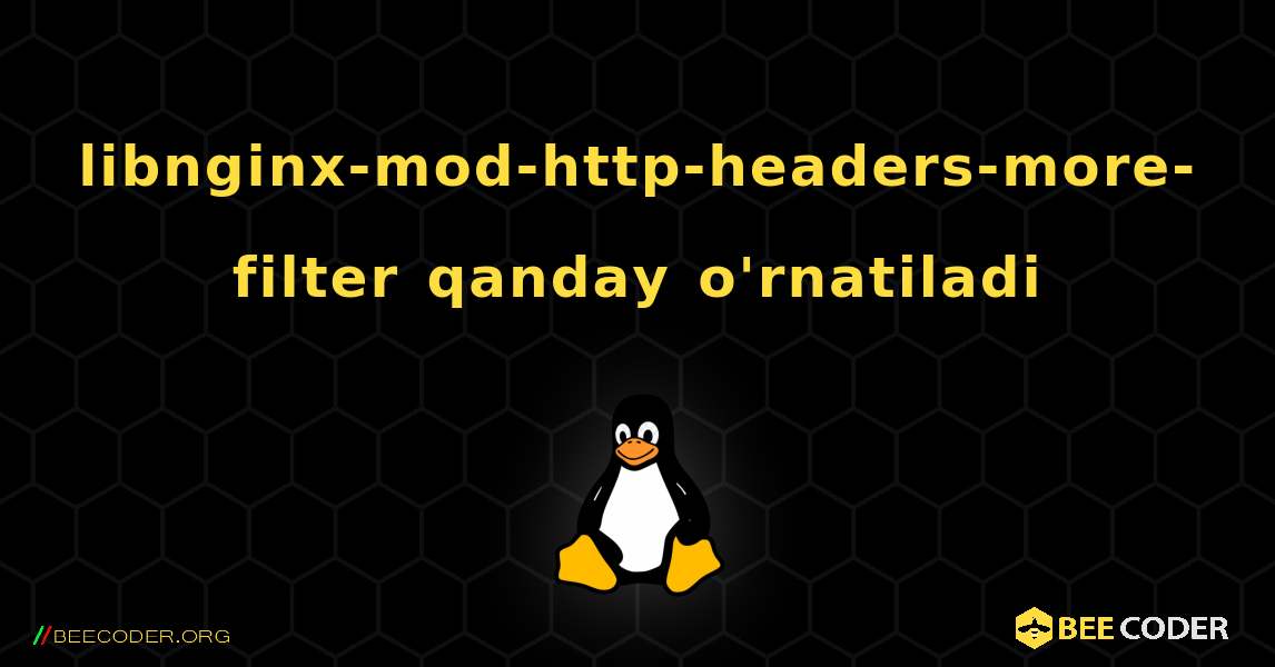 libnginx-mod-http-headers-more-filter  qanday o'rnatiladi. Linux