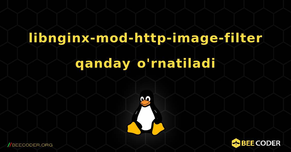 libnginx-mod-http-image-filter  qanday o'rnatiladi. Linux