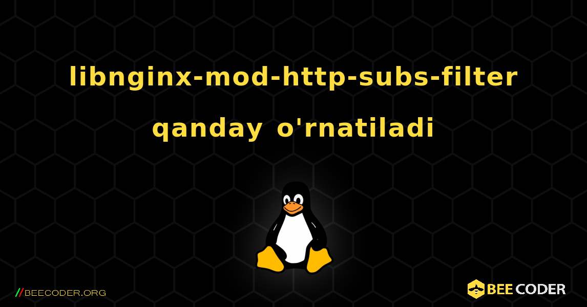 libnginx-mod-http-subs-filter  qanday o'rnatiladi. Linux