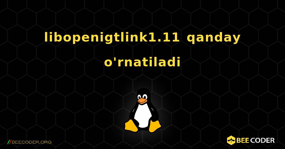 libopenigtlink1.11  qanday o'rnatiladi. Linux