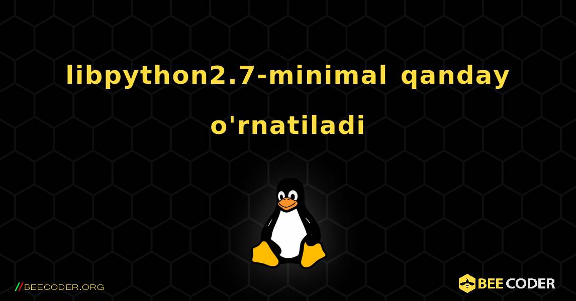 libpython2.7-minimal  qanday o'rnatiladi. Linux