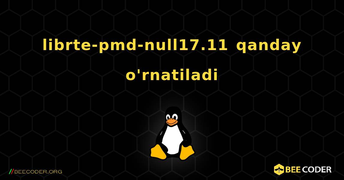 librte-pmd-null17.11  qanday o'rnatiladi. Linux