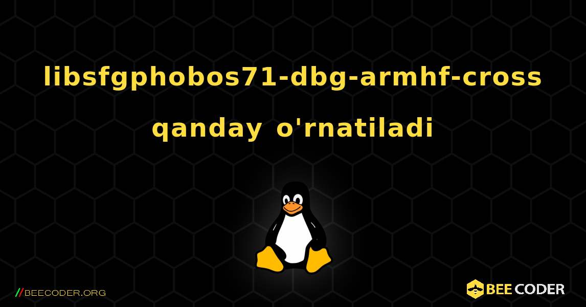 libsfgphobos71-dbg-armhf-cross  qanday o'rnatiladi. Linux