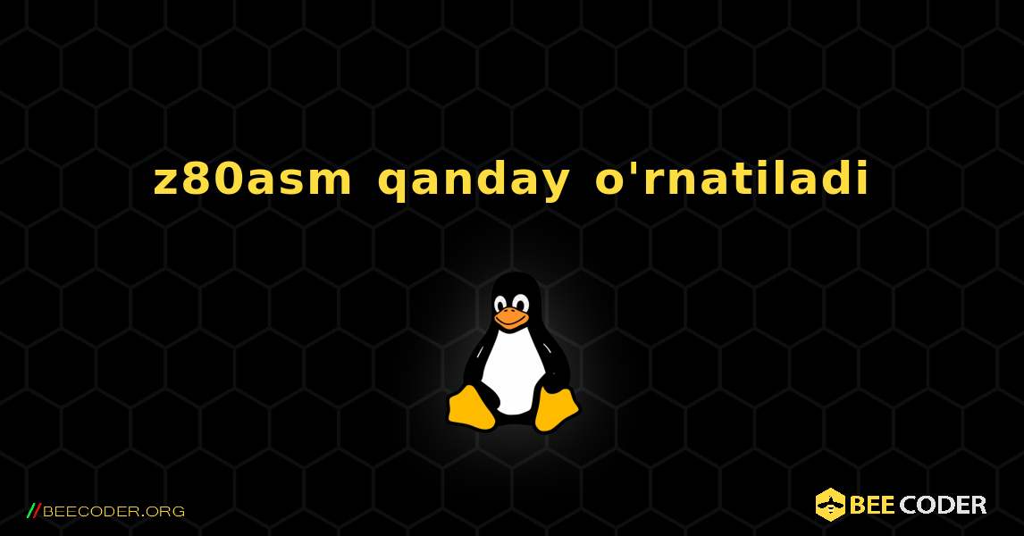 z80asm  qanday o'rnatiladi. Linux