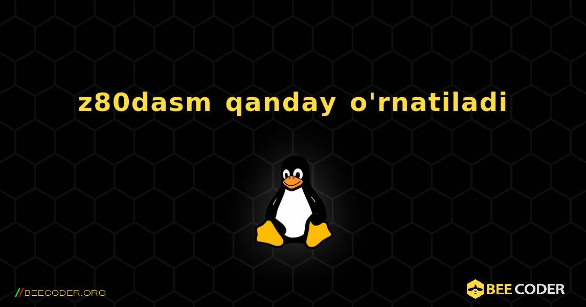 z80dasm  qanday o'rnatiladi. Linux