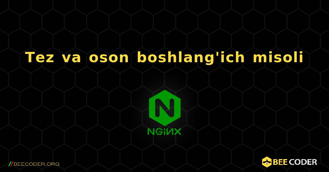 Tez va oson boshlang'ich misoli. NGINX