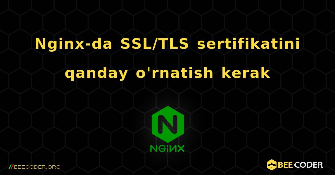 Nginx-da SSL/TLS sertifikatini qanday o'rnatish kerak. NGINX