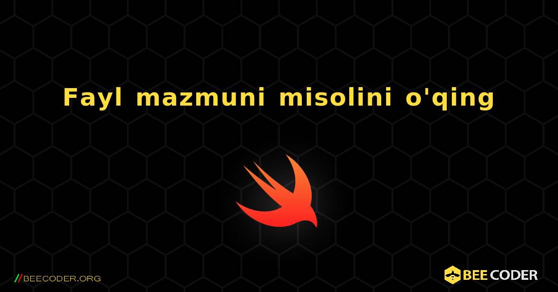 Fayl mazmuni misolini o'qing. Swift