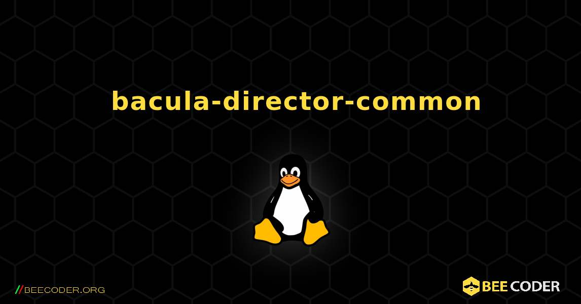 如何安装 bacula-director-common . Linux