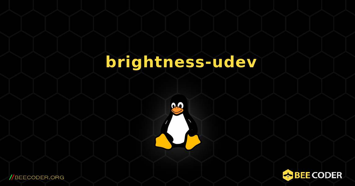 如何安装 brightness-udev . Linux