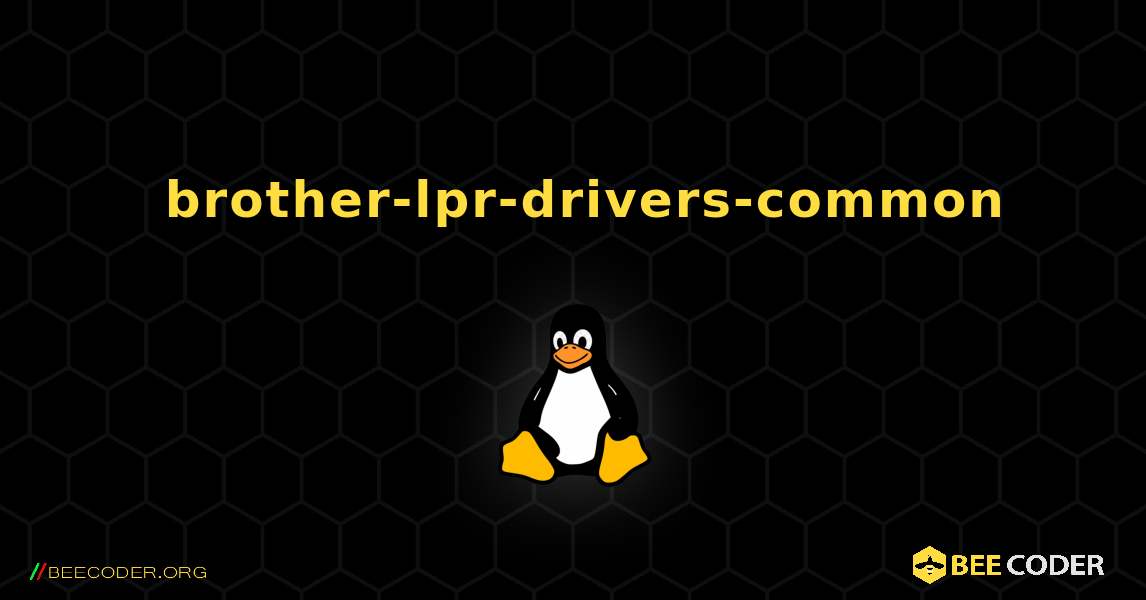 如何安装 brother-lpr-drivers-common . Linux