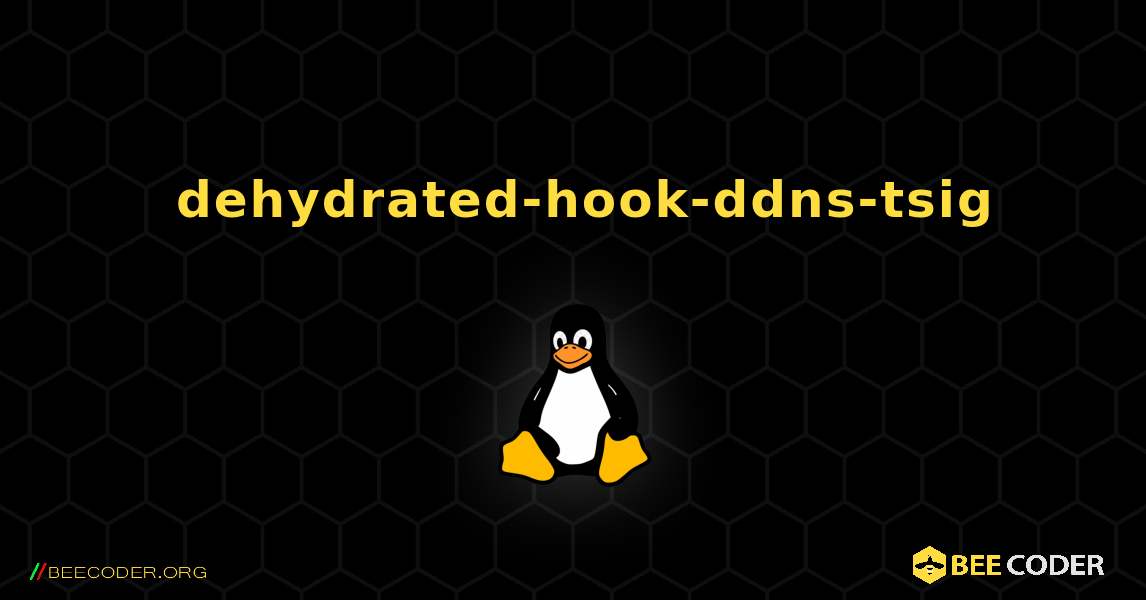 如何安装 dehydrated-hook-ddns-tsig . Linux