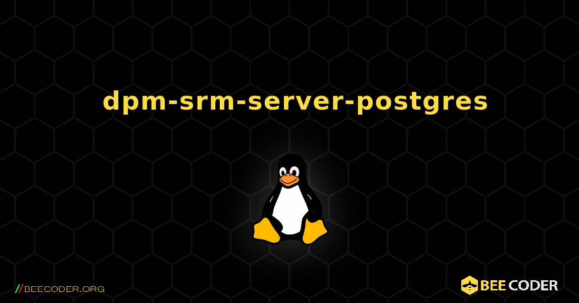 如何安装 dpm-srm-server-postgres . Linux