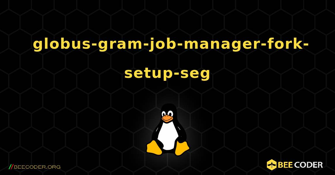 如何安装 globus-gram-job-manager-fork-setup-seg . Linux