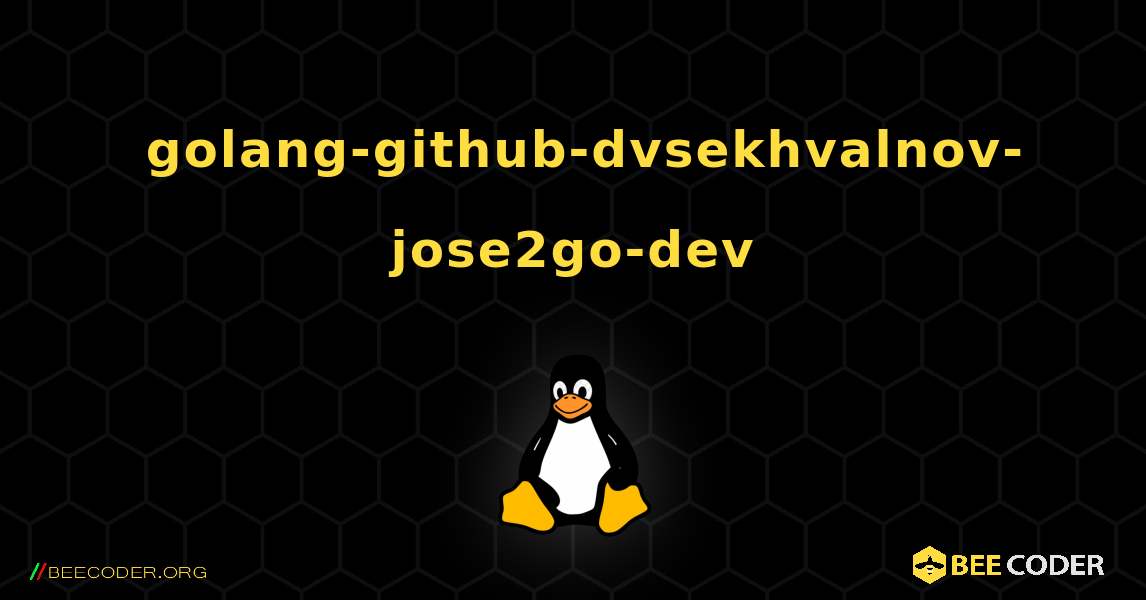 如何安装 golang-github-dvsekhvalnov-jose2go-dev . Linux