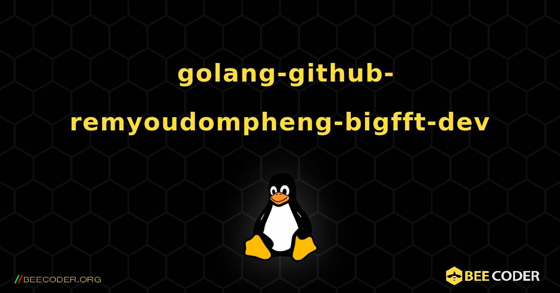 如何安装 golang-github-remyoudompheng-bigfft-dev . Linux