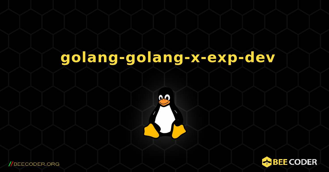 如何安装 golang-golang-x-exp-dev . Linux