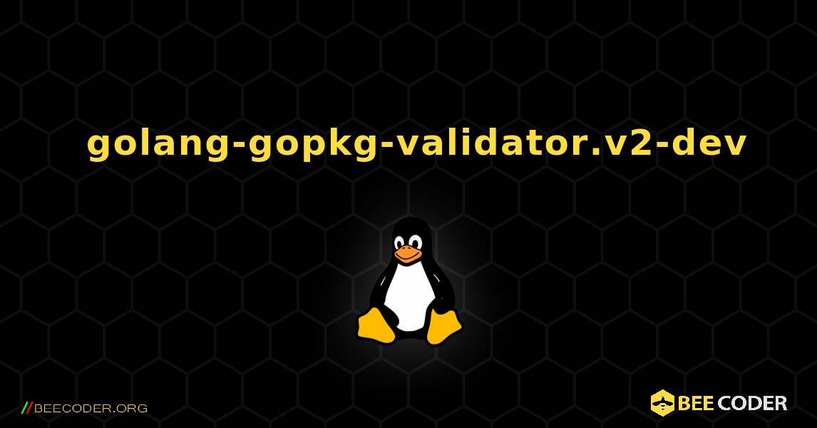 如何安装 golang-gopkg-validator.v2-dev . Linux