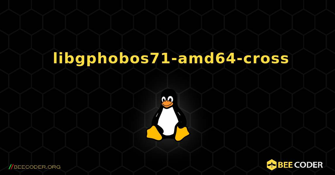 如何安装 libgphobos71-amd64-cross . Linux