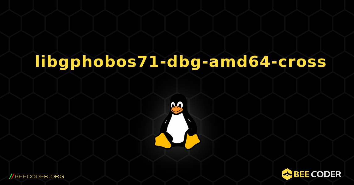 如何安装 libgphobos71-dbg-amd64-cross . Linux