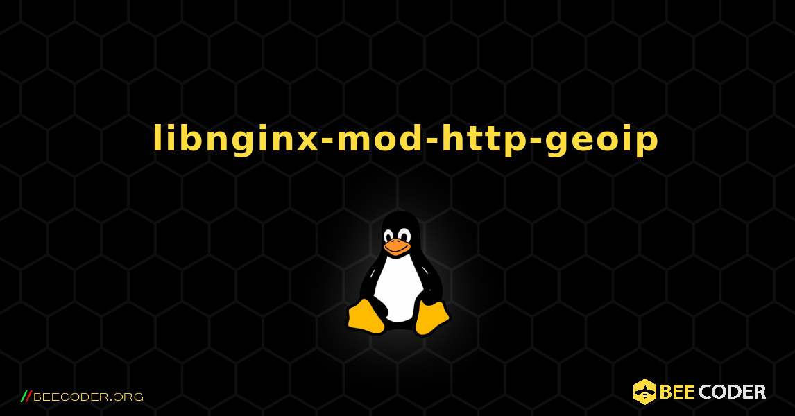 如何安装 libnginx-mod-http-geoip . Linux