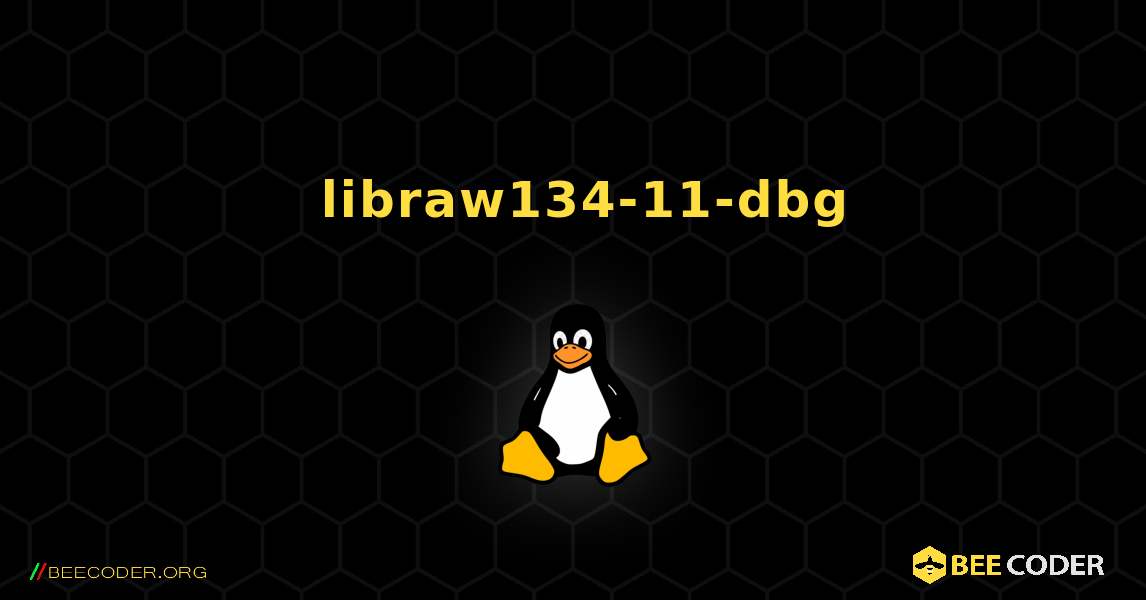 如何安装 libraw134-11-dbg . Linux