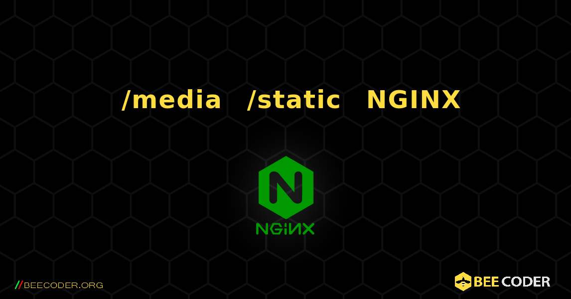 如何将 /media 和 /static 添加到 NGINX. NGINX