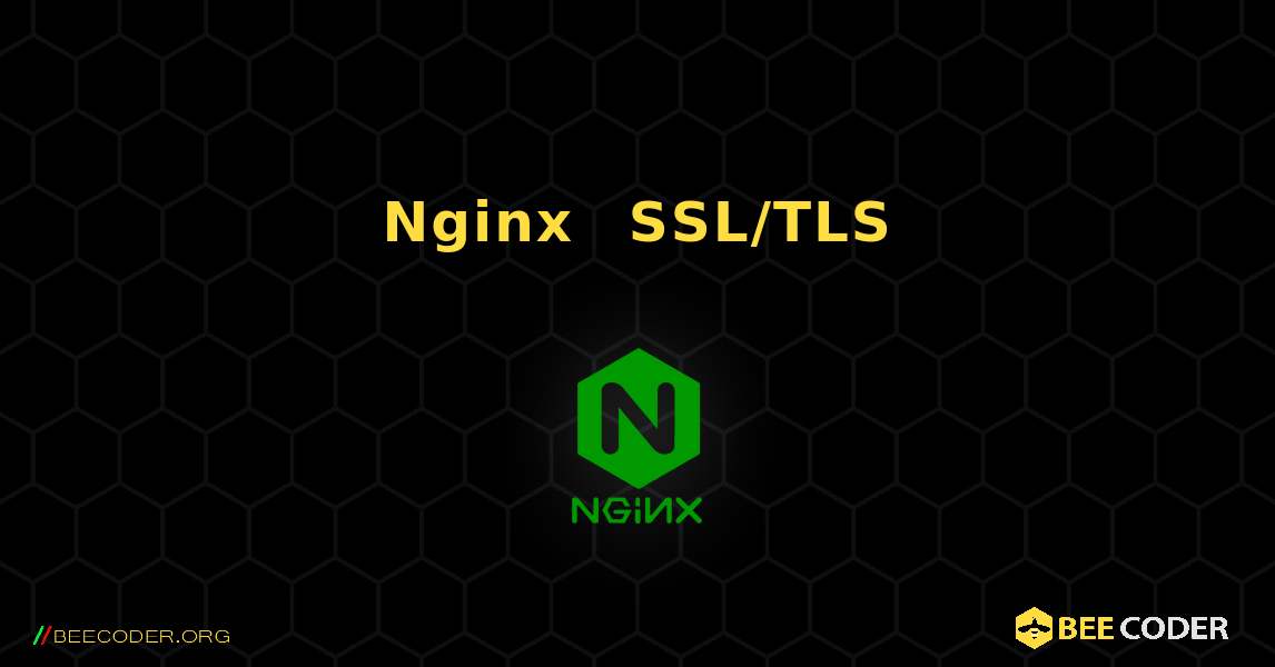 如何在 Nginx 中安装 SSL/TLS 证书. NGINX