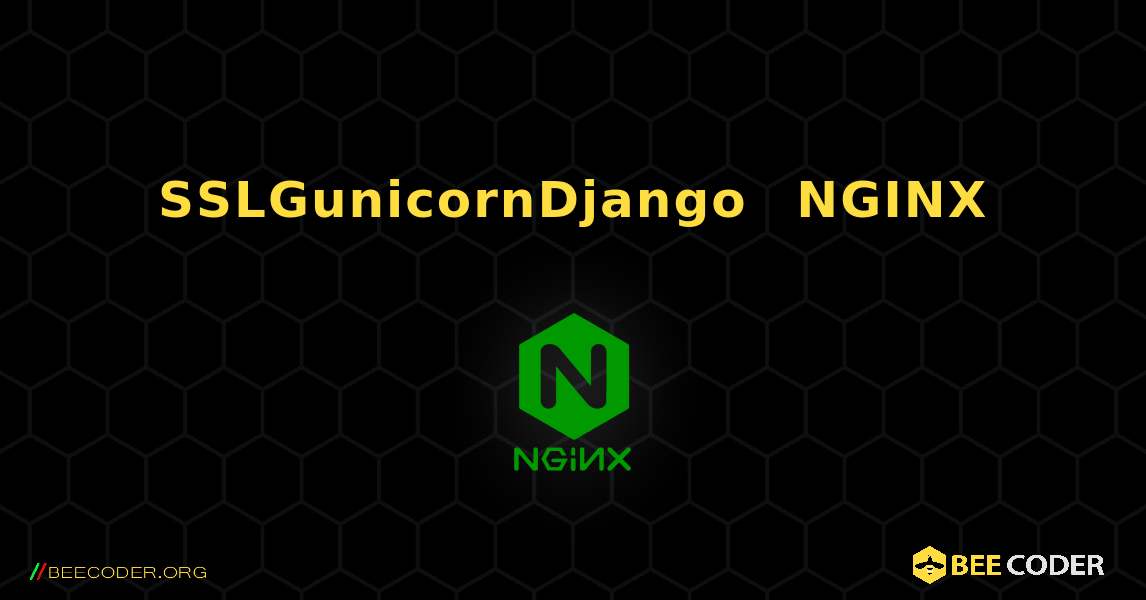 SSL、Gunicorn、Django 连接到 NGINX. NGINX